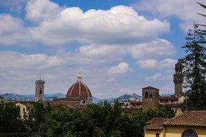 Panorama. Tereny zielone.